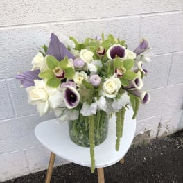 "Grown Out Roots" Large Designer's Choice