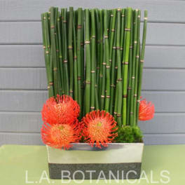 Orange pincushion flowers arranged with tall bamboo in a rectangular container.
