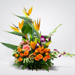 Tropical flower arrangement with orange roses and bird of paradise