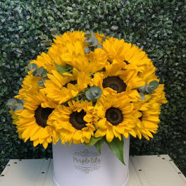 Yellow sunflowers arranged in a white hat box