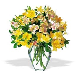 Yellow and pink alstroemeria bouquet in a clear glass vase