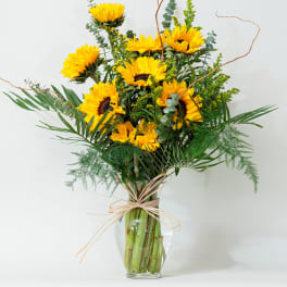 Sunflower arrangement in a clear glass vase with airy greenery
