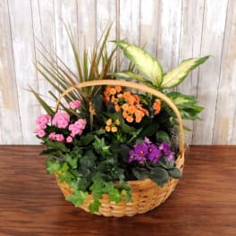 Wicker basket garden with pink, orange, and purple flowering plants and assorted green foliage.