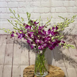 Purple orchids arranged in a clear glass vase