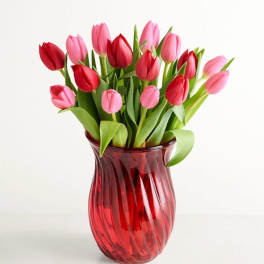 Pink and red tulips arranged in a red glass vase