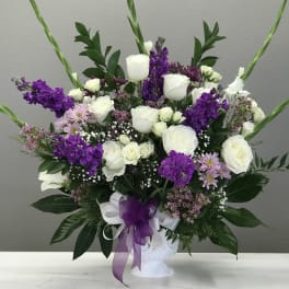 Violet Vibrance
