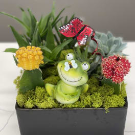 Succulent planter with a frog figurine and butterfly decoration