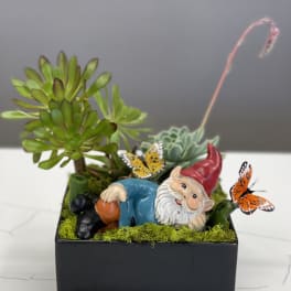 Succulent planter with a reclining gnome and butterfly decorations in a black pot