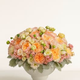 Peach and cream rose arrangement in a white pedestal vase