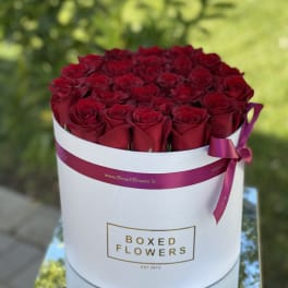 25 Red roses flat box