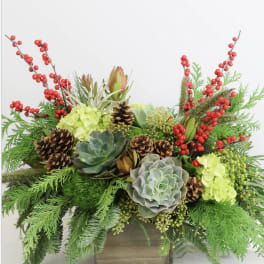 Succulent arrangement with pinecones and red berry branches in a wooden box