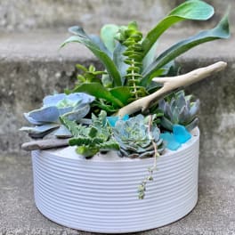 Medium Succulent Planter