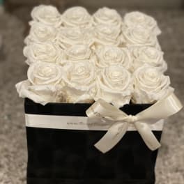 White roses arranged in a black box with a satin ribbon bow