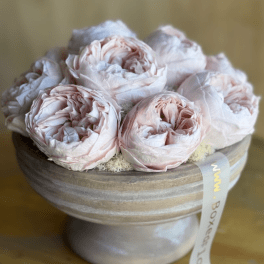 Pale pink roses arranged in a low round box