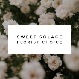 White flowers behind a card reading Sweet Solace Florist Choice