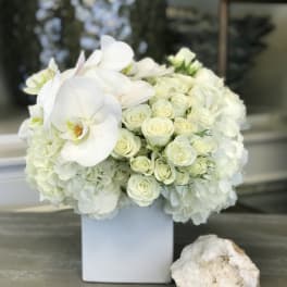 White roses and orchids arranged in a square white vase