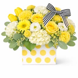 Polka Dots & Stripes Yellow