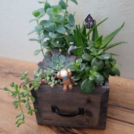 Succulent arrangement in a wooden box with a small figurine and house pick