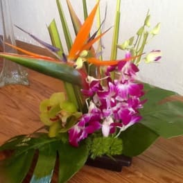 Tropical flower arrangement with orchids and bird-of-paradise blooms