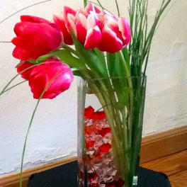 Pink and red tulips in a tall glass vase with decorative stones