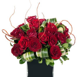 Red roses arranged in a square black vase with curled green ribbon accents
