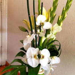 White orchids and tropical leaves in a glass vase
