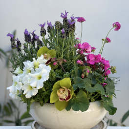 Mixed flowering plants with white blooms, pink flowers, and green cymbidium orchids in a white ceramic bowl planter