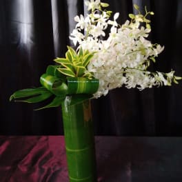 White orchid arrangement in a tall green vase with curled leaves