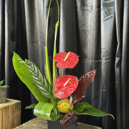 Tropical arrangement with red anthuriums and a yellow pincushion bloom in a black vase