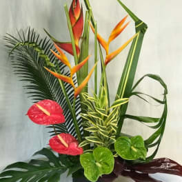Tropical arrangement with red anthuriums and orange bird of paradise in a black vase