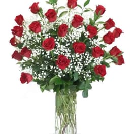 Red roses arranged in a clear glass vase with white filler flowers