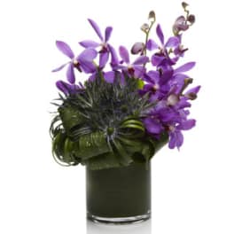 Purple orchids arranged in a dark glass vase