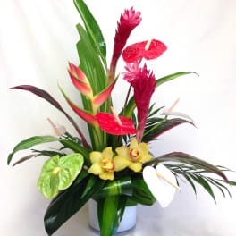 Tropical arrangement with red anthuriums and yellow orchids in a white vase