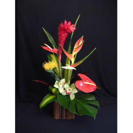 Tropical floral arrangement with red and orange blooms in a tall container