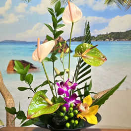 Tropical floral arrangement with orchids and anthuriums in a black bowl