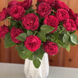 Bouquet of deep pink roses in a white vase