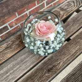 Pink rose in a clear glass bowl with white baby's breath