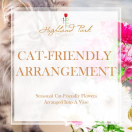 Cat-Friendly Arrangement (Vase)