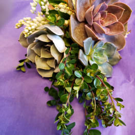 Succulent bouquet with trailing greenery on purple wrapping