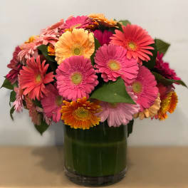 Colorful gerbera daisy bouquet in a glass vase