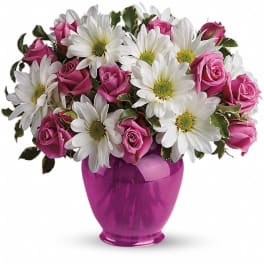 Pink roses and white daisies arranged in a purple vase