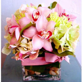 Pink Orchids For The Desk