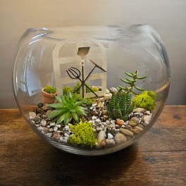 Glass terrarium with small succulents, pebbles, and moss