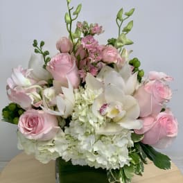 Elegant by Maya Studio Florist