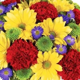 Bright mixed bouquet with yellow daisies, red carnations, and purple asters