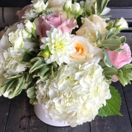 Bouquet of white and blush roses with white hydrangeas in a white vase