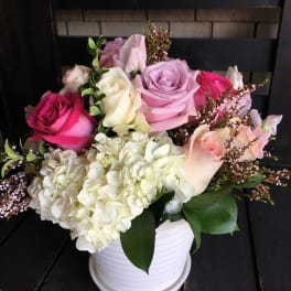 Pink and white roses with hydrangeas in a white pot