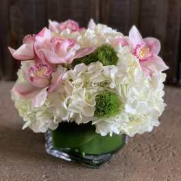 Pink orchids and white hydrangeas in a square glass vase