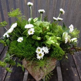White daisy bouquet in a rustic paper-wrapped container