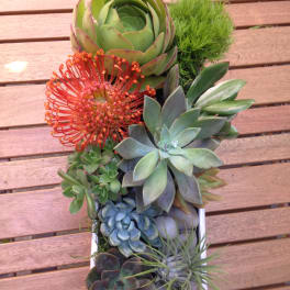Succulent arrangement in a white rectangular planter with one orange flower